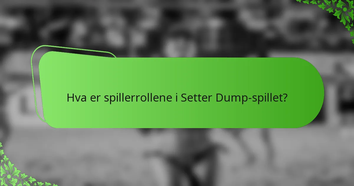 Hva er spillerrollene i Setter Dump-spillet?